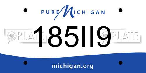 185II9 Michigan License Plate