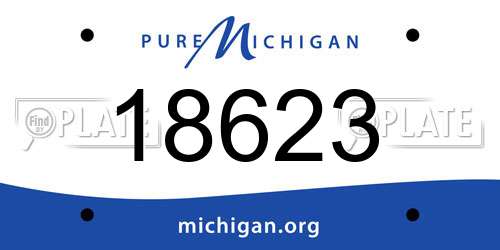 18623 Michigan License Plate