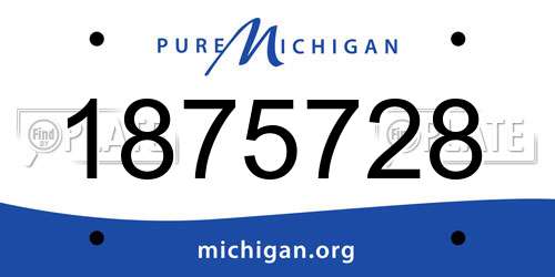 1875728 Michigan License Plate
