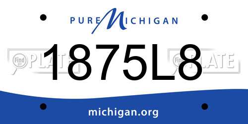 1875L8 Michigan License Plate