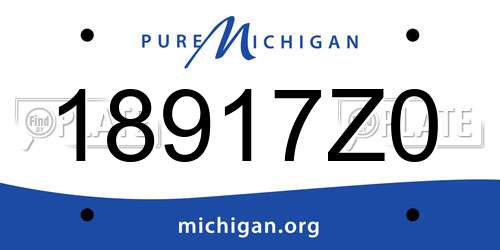 18917Z0 Michigan License Plate