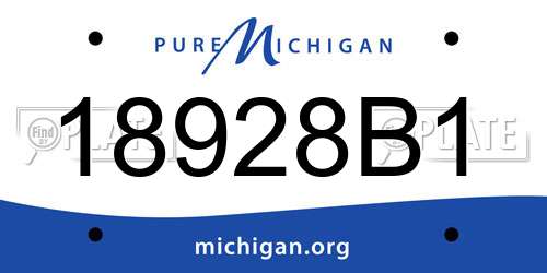 18928B1 Michigan License Plate