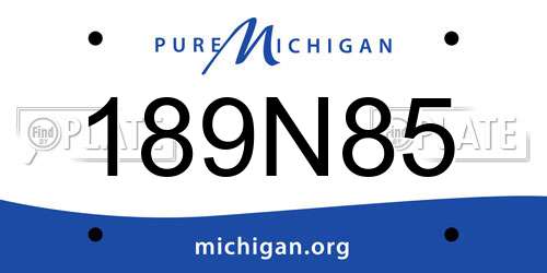189N85 Michigan License Plate