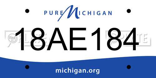 18AE184 Michigan License Plate