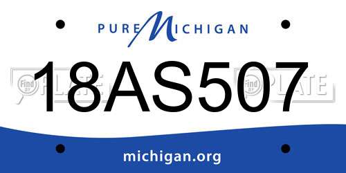 18AS507 Michigan License Plate