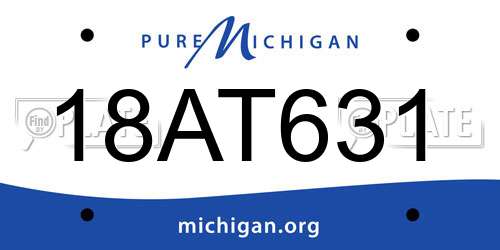 18AT631 Michigan License Plate