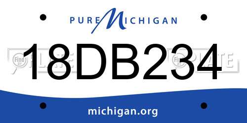 18DB234 Michigan License Plate