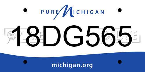 18DG565 Michigan License Plate
