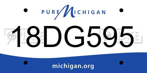 18DG595 Michigan License Plate