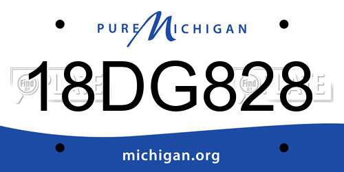 18DG828 Michigan License Plate