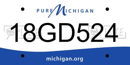 18GD524 Michigan License Plate