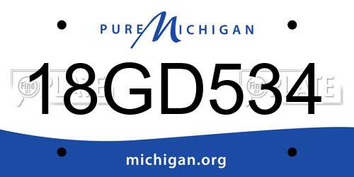 18GD534 Michigan License Plate