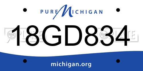 18GD834 Michigan License Plate