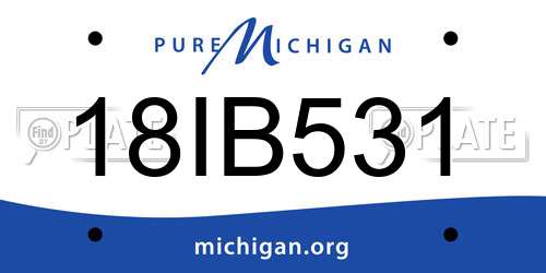 18IB531 Michigan License Plate