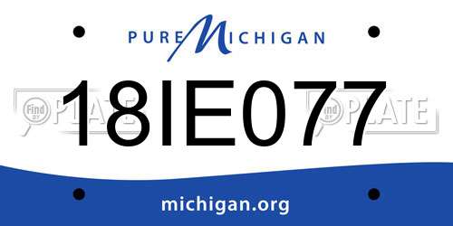 18IE077 Michigan License Plate