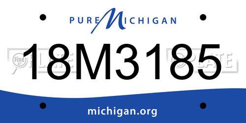 18M3185 Michigan License Plate
