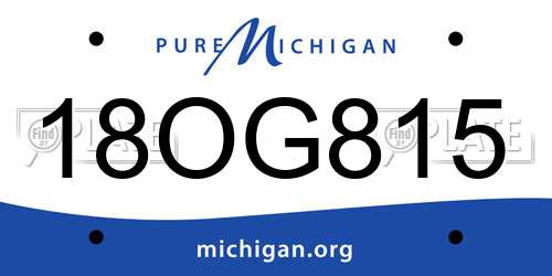 18OG815 Michigan License Plate