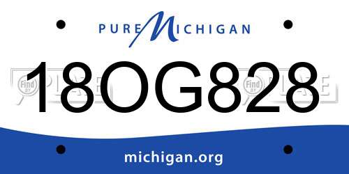 18OG828 Michigan License Plate