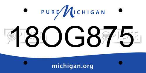 18OG875 Michigan License Plate