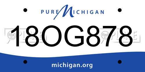 18OG878 Michigan License Plate