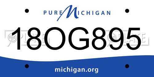 18OG895 Michigan License Plate