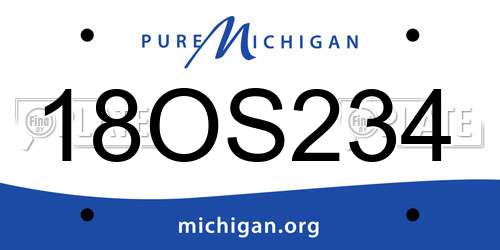 18OS234 Michigan License Plate