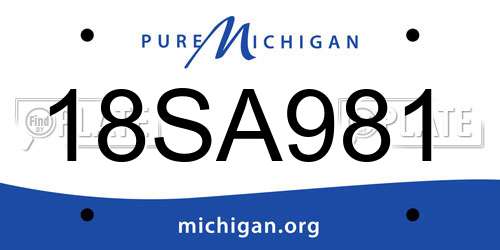18SA981 Michigan License Plate