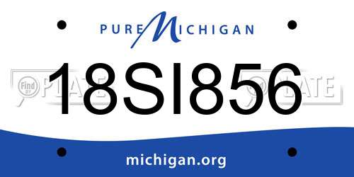18SI856 Michigan License Plate