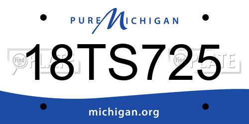 18TS725 Michigan License Plate