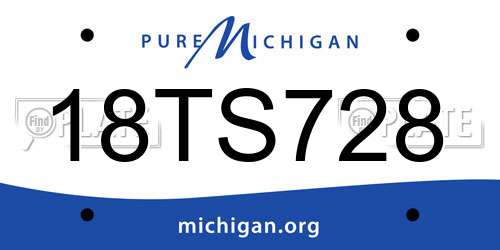 18TS728 Michigan License Plate