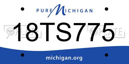 18TS775 Michigan License Plate