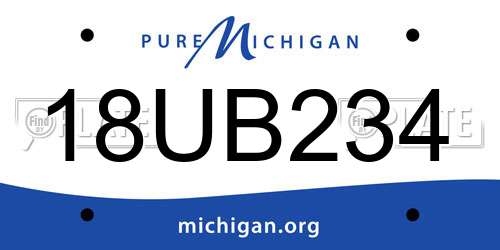 18UB234 Michigan License Plate