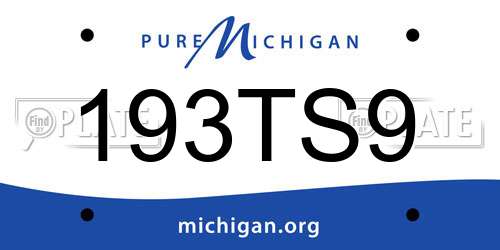 193TS9 Michigan License Plate
