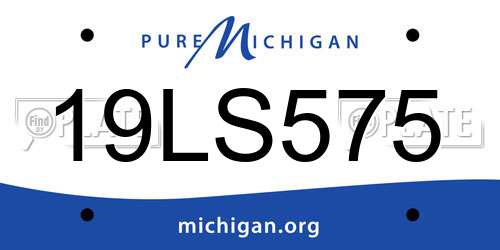19LS575 Michigan License Plate