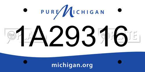 1A29316 Michigan License Plate