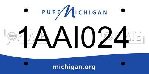 1AAI024 Michigan License Plate