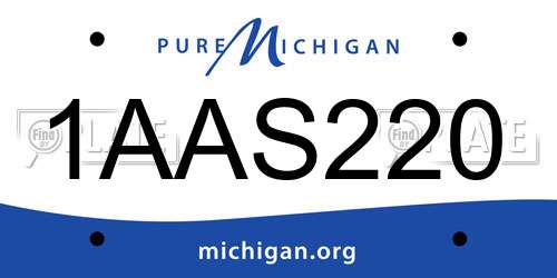 1AAS220 Michigan License Plate
