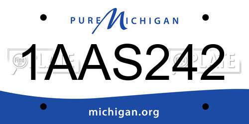 1AAS242 Michigan License Plate