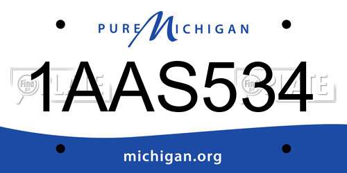 1AAS534 Michigan License Plate