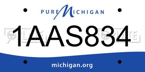 1AAS834 Michigan License Plate