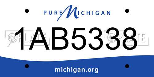 1AB5338 Michigan License Plate