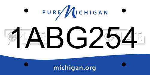 1ABG254 Michigan License Plate