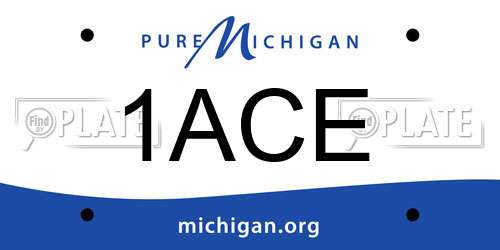 1ACE Michigan License Plate