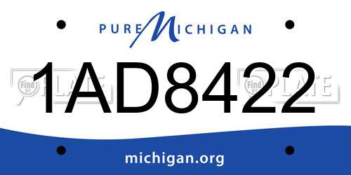 1AD8422 Michigan License Plate