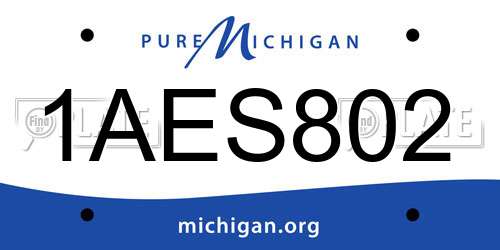 1AES802 Michigan License Plate