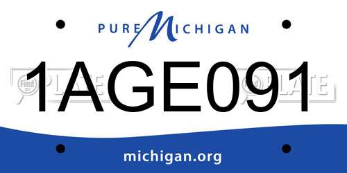 1AGE091 Michigan License Plate