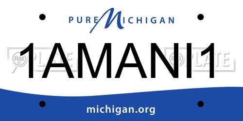 1AMANI1 Michigan License Plate