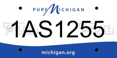 1AS1255 Michigan License Plate