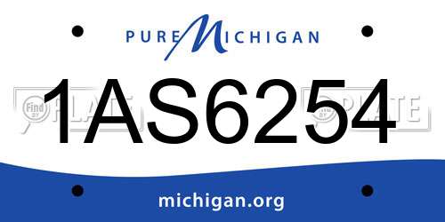 1AS6254 Michigan License Plate