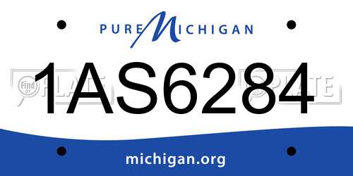1AS6284 Michigan License Plate